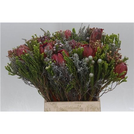 Proteja Bouquet c2664