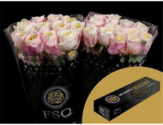 Vrtnica Gar Fatima Garden Box c2871