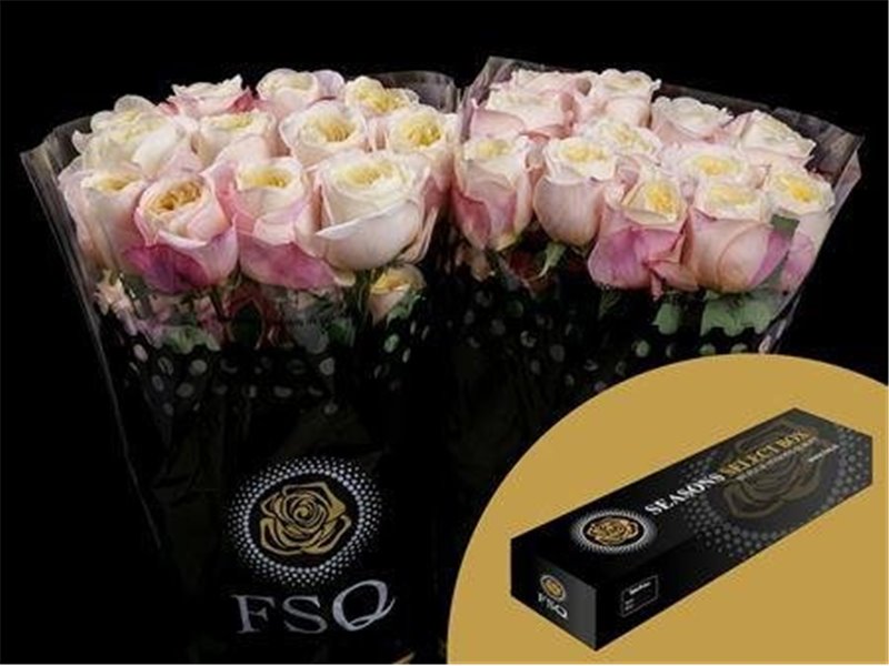 Vrtnica Gar Fatima Garden Box c2871