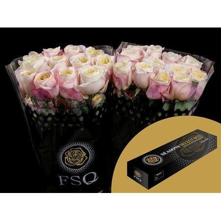 Vrtnica Gar Fatima Garden Box c2871