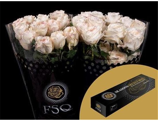 Vrtnica Gar Vicky Gardens Box c2874