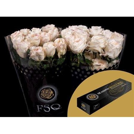 Vrtnica Gar Vicky Gardens Box c2874