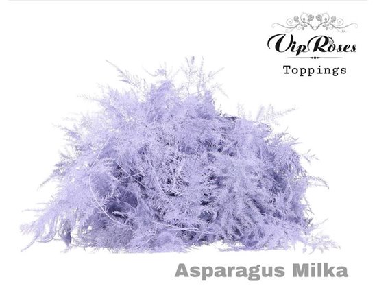 Asparagus Various 1e feathers Milka c219