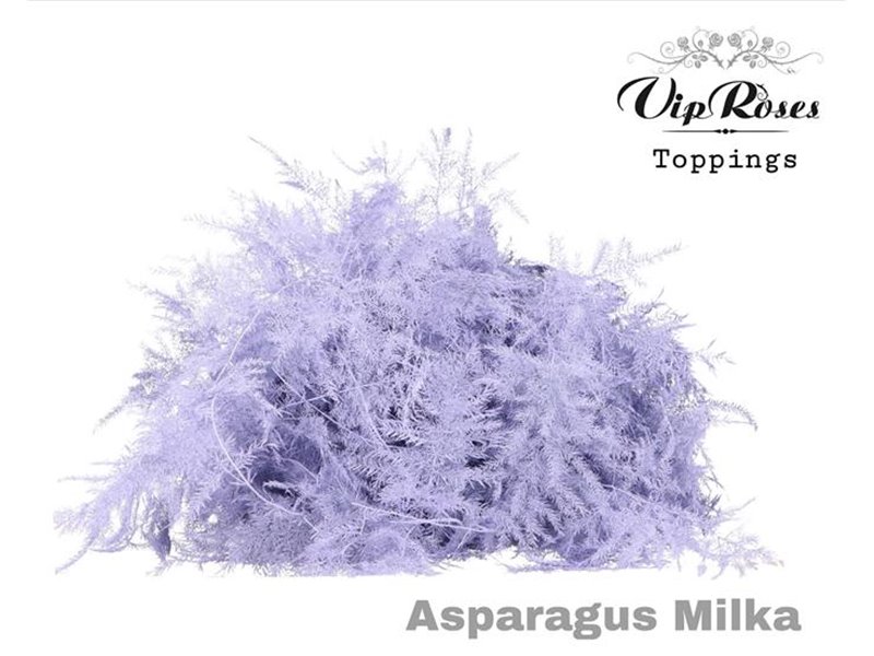 Asparagus Various 1e feathers Milka c219