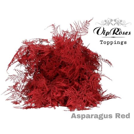 Asparagus Various 1e feathers Red c223