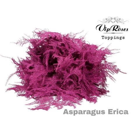 Asparagus Various Extra feathers Erica c228