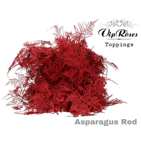Asparagus Various Getopt Long Red c245