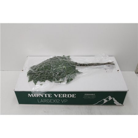 Praprot Ex x12 (vacuum) (p. bunch) c1017