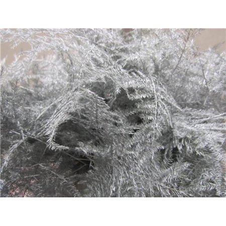 Asparagus 1e feather Silver c225