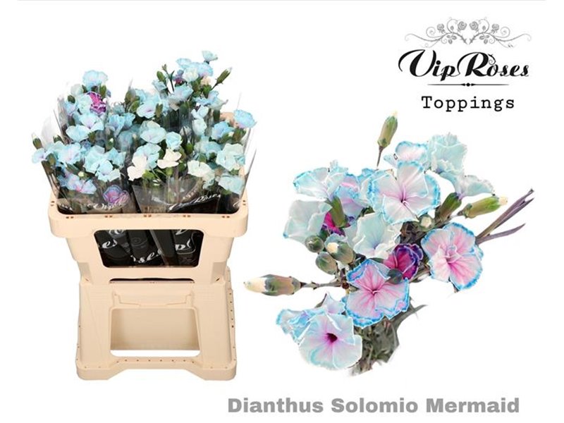 Nagelj Solomio Mermaid (l50cm) c511