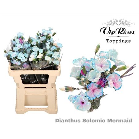 Nagelj Solomio Mermaid (l50cm) c511
