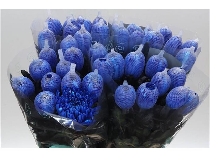 Marjetka deco Antonov Dyed Blue c786