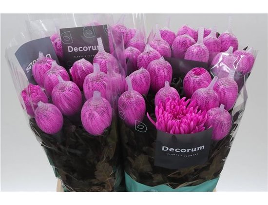 Marjetka deco Antonov Dyed Cerise c788
