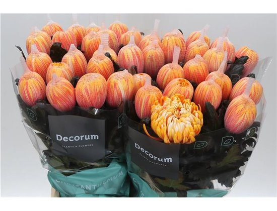Marjetka deco Antonov Dyed Sunset c802