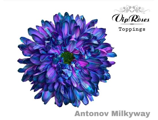 Marjetka deco Antonov Milky Way c806