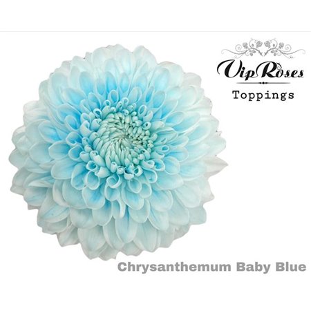 Marjetka deco Baby Blue c809