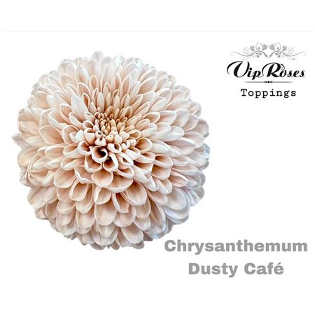 Marjetka deco Dusty Cafe c823