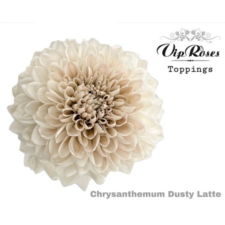 Marjetka deco Dusty Latte c824