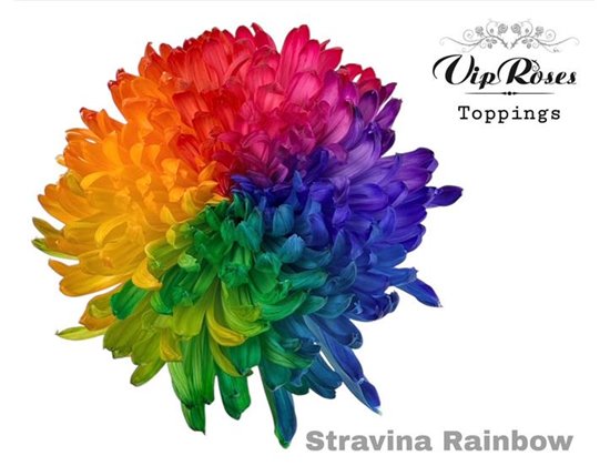 Marjetka deco Stravina Rainbow c861