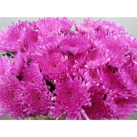 Marjetka deco Topspin Pastel Cerise c887