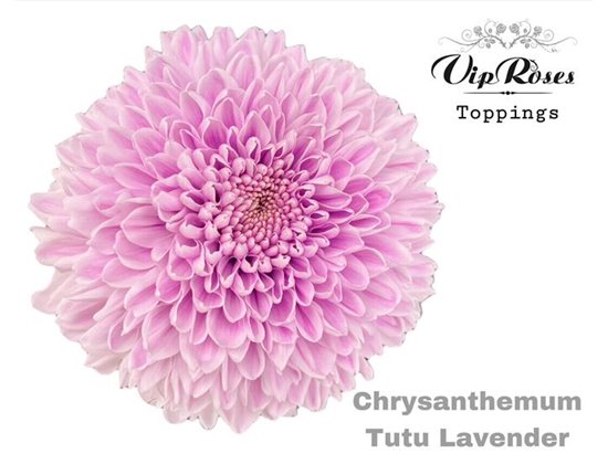 Marjetka deco Tutu Lavender c898