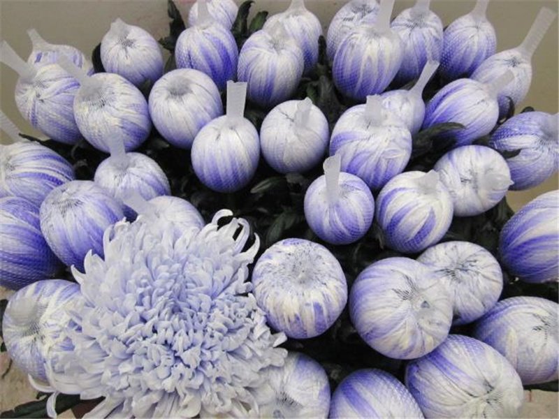 Marjetka deco Tutu Pastel Lilac c899