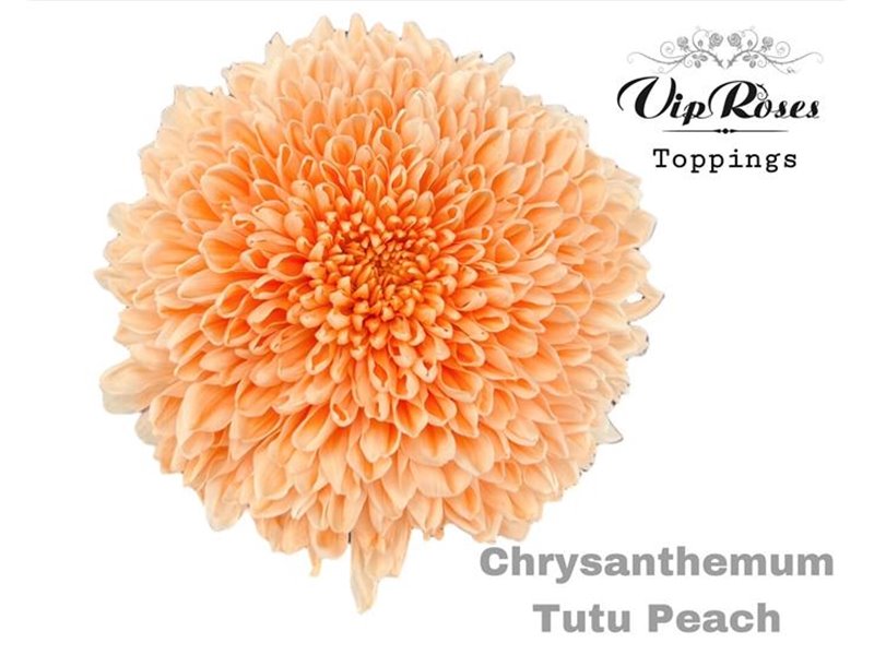 Marjetka deco Tutu Peach c901