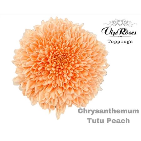 Marjetka deco Tutu Peach c901