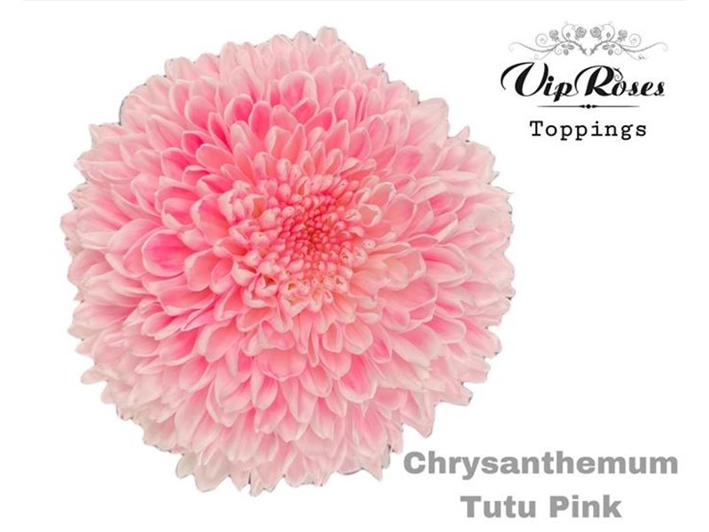 Marjetka deco Tutu Peach c902