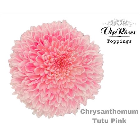 Marjetka deco Tutu Peach c902