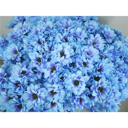 Marjetka T Bacardi Blue c1003