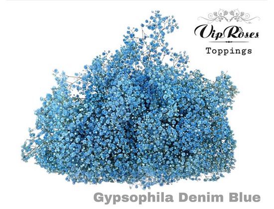 Gipsofila Pa Denim Blue c2054