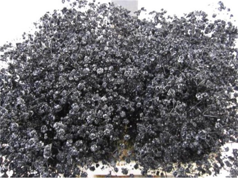 Gipsofila Xlence Black c2084