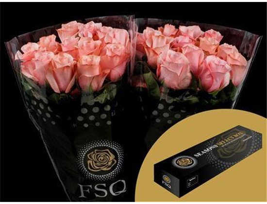 Vrtnica Be Sweet Box c2728