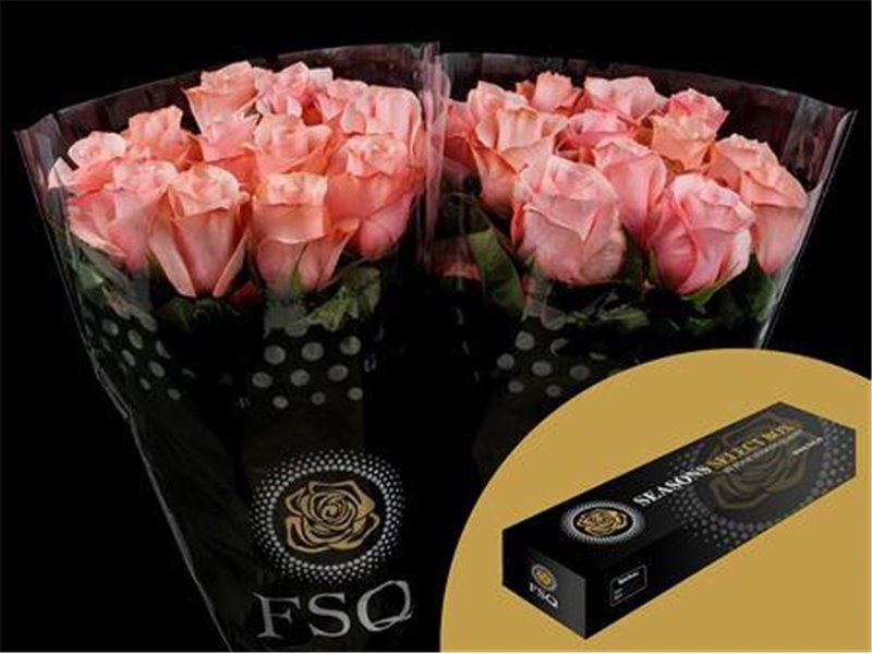 Vrtnica Be Sweet Box c2728