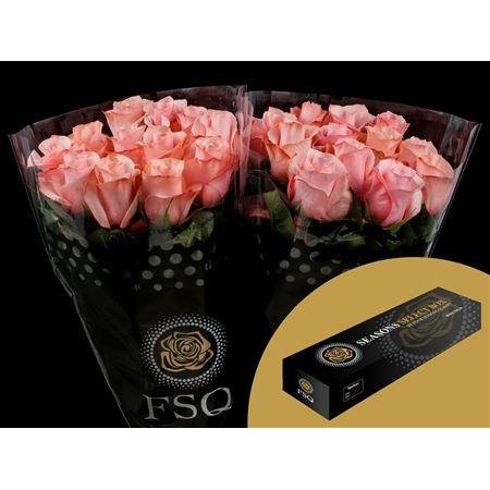 Vrtnica Be Sweet Box c2728