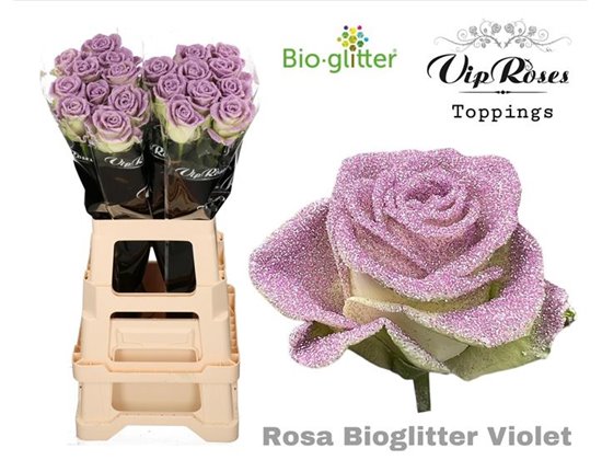 Vrtnica Bio Glitter Violet x20 c3585