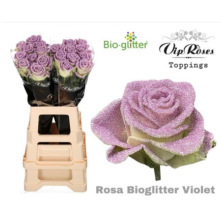 Vrtnica Bio Glitter Violet x20 c3585