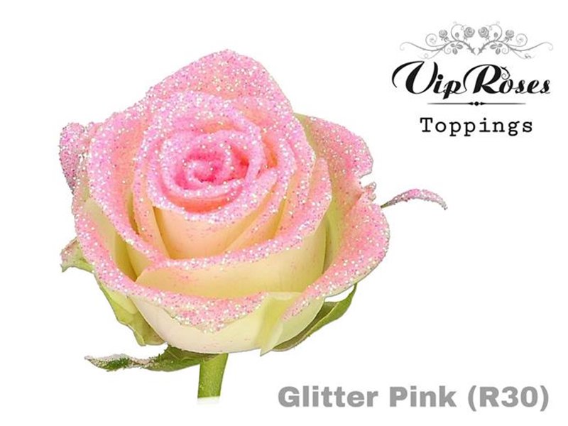 Vrtnica Glitter Pink R30 x20 c3765