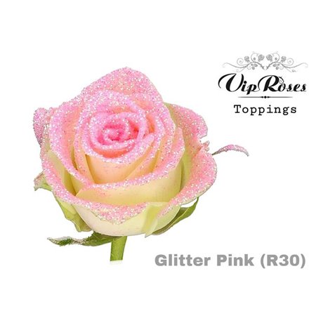 Vrtnica Glitter Pink R30 x20 c3765