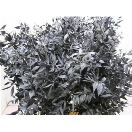 Ruskus A Bleached Black c4074
