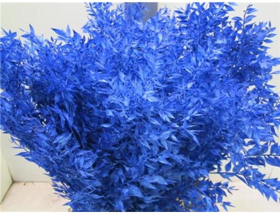 Ruskus A Bleached Blue c4075