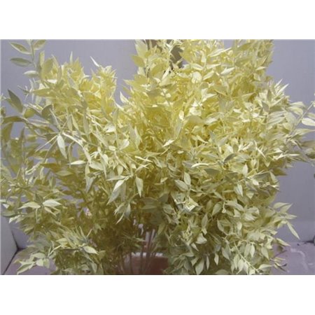 Ruskus A Bleached Creme c4078