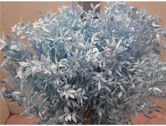 Ruskus A Bleached Pale Blue c4084