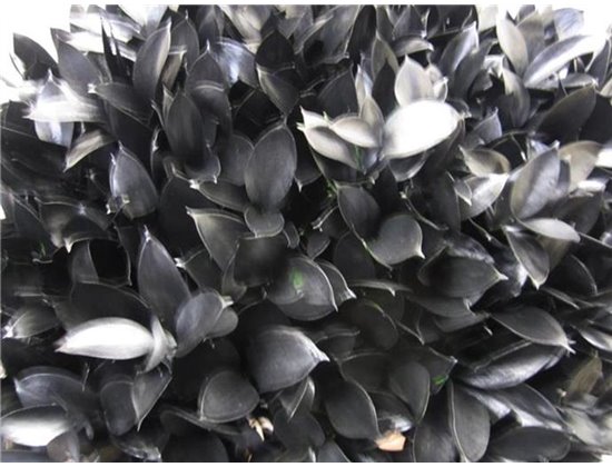 Ruskus G Black c4090