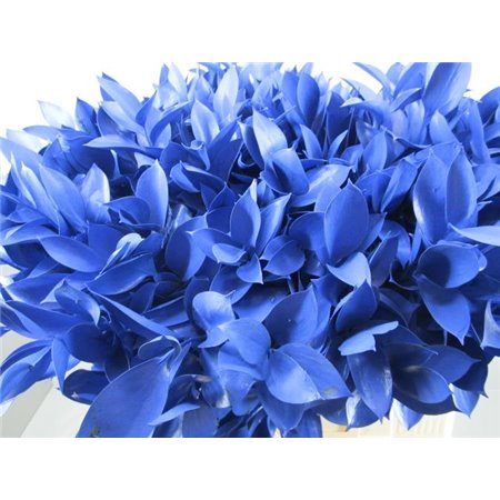 Ruskus G Blue c4091