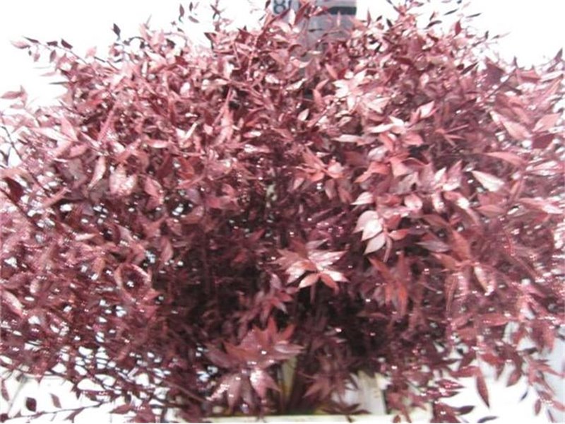 Ruskus Prik Antique Glitter c4110