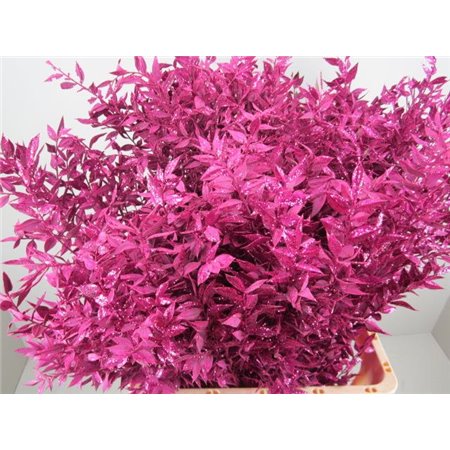Ruskus Prik Cerise Glitter c4112