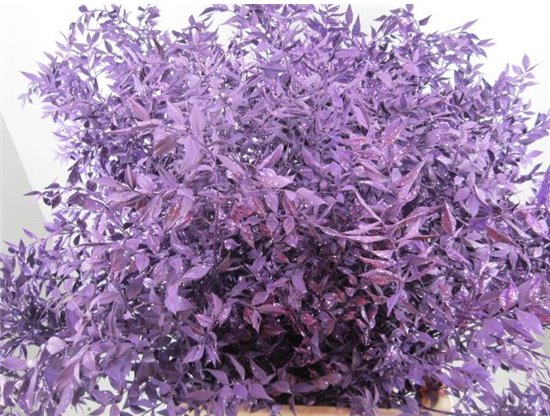 Ruskus Prik Purple Glitter c4116