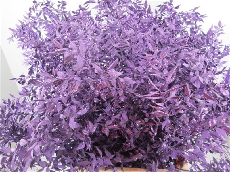 Ruskus Prik Purple Glitter c4116